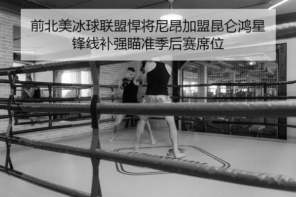 前北美冰球联盟悍将尼昂加盟昆仑鸿星 锋线补强瞄准季后赛席位
